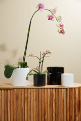 Cercle Ceramic Pots By Accent Decor