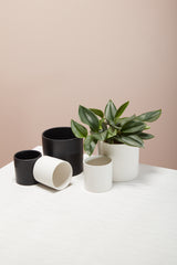 Cercle Ceramic Pots By Accent Decor