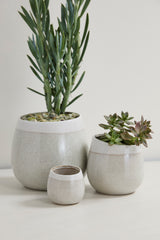 Choice Speckled Textured Pots By Accent Decor
