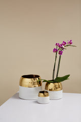 Claire Ceramic Pots By Accent Decor