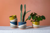 Colorway Ceramic Pots By Accent Decor
