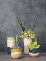 Colorway Ceramic Pots By Accent Decor