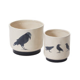 Corvus Ceramic Pots By Accent Decor