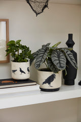 Corvus Ceramic Pots By Accent Decor