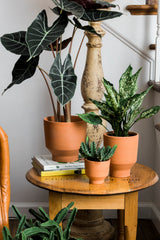 Crescendo Footed Ceramic Pots By Accent Decor