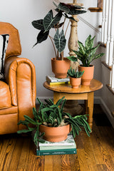 Crescendo Footed Ceramic Pots By Accent Decor