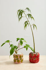 Cucina Pots By Accent Decor