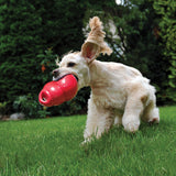 KONG Bounzer Dog Toy, Medium - view 4