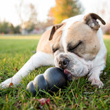KONG Extreme Dog Toy, Large - view 3