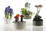 Decatur Ceramic Bowls By Accent Decor