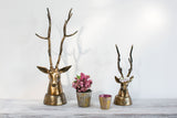 Deerhead Metal Decorative Accent By Accent Decor
