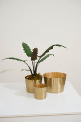 Delicata Metal Pots By Accent Decor