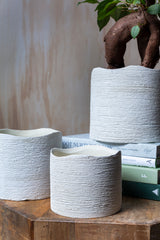 Delphi Ceramic Pots By Accent Decor