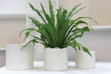 Delphi Ceramic Pots By Accent Decor