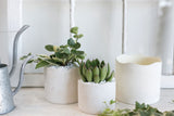 Delphi Ceramic Pots By Accent Decor