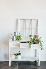 Delphi Ceramic Pots By Accent Decor