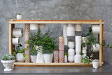 Delphi Ceramic Pots By Accent Decor