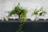 Destiny Ceramic Decorative Urns By Accent Decor