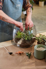Discovery Glass Terrariums By Accent Decor