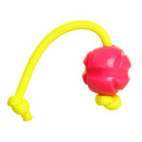 DOOG Pet Products Fetch-ables Fetch-A-Tug Dog Toy