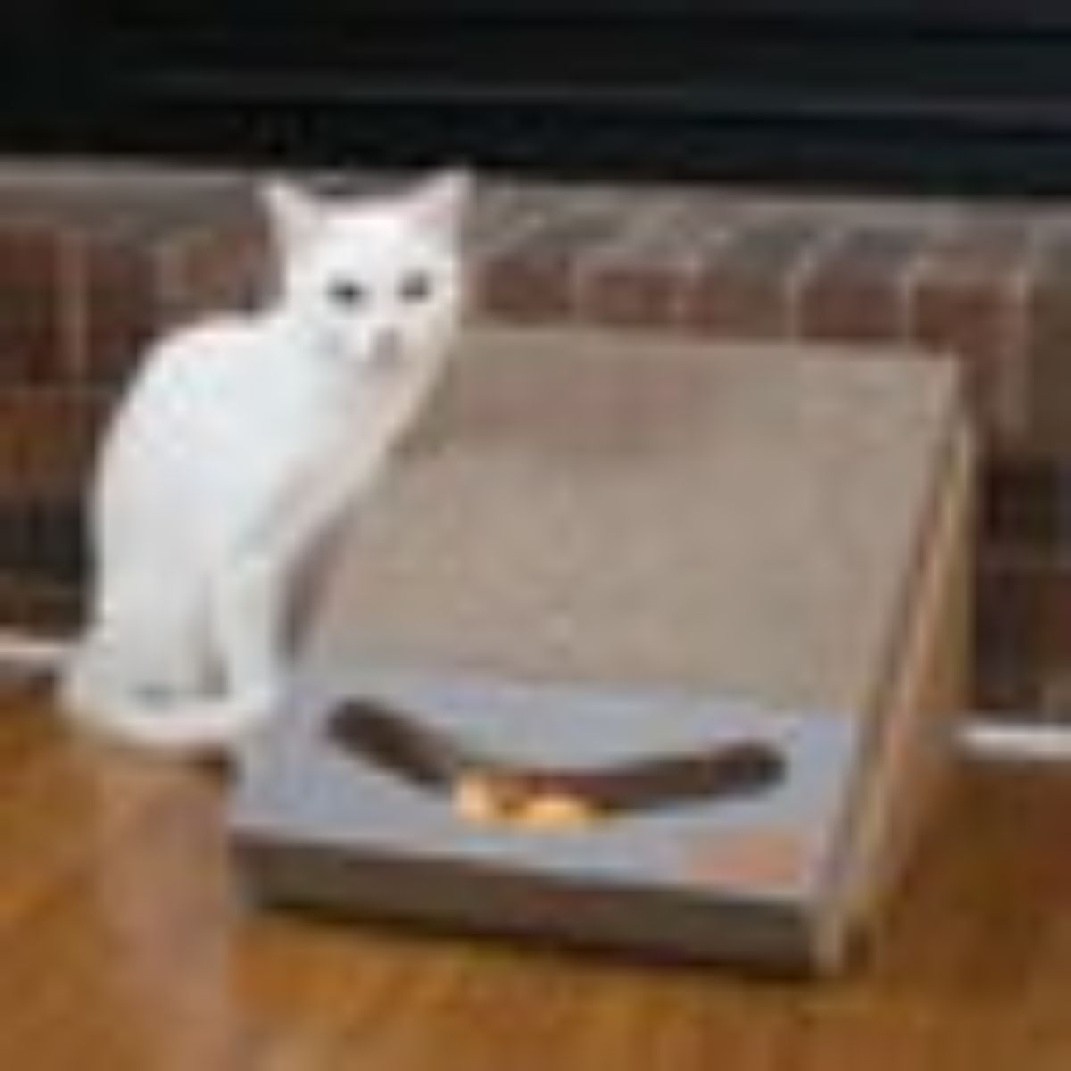 K&H Pet Products Scratch Ramp and Track Cat Scratcher Toy