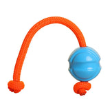 DOOG Pet Products Fetch-ables Fetch-A-Tug Dog Toy