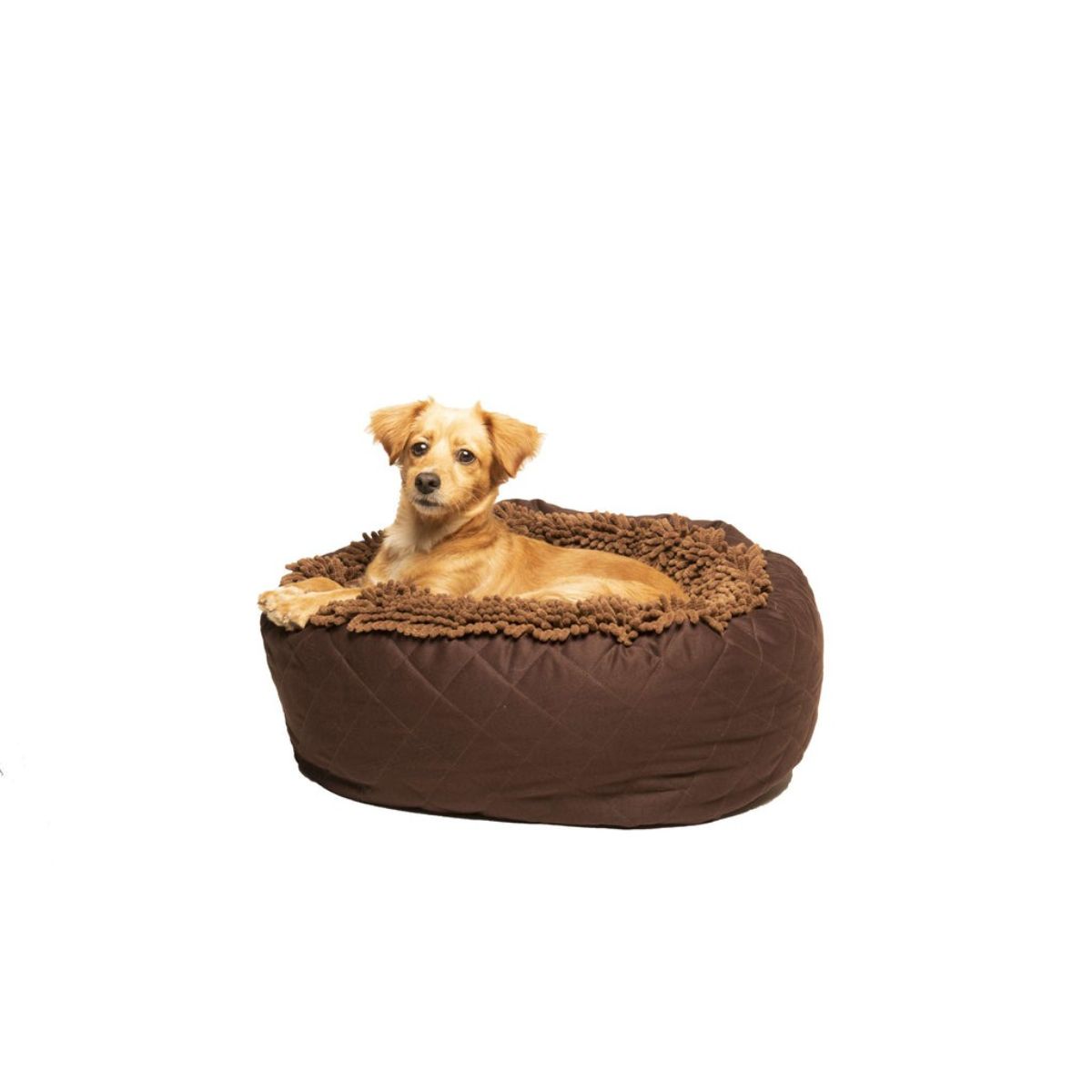 DGS Pet Products Dirty Dog Donut Bed