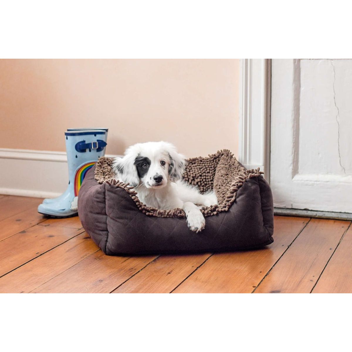 DGS Pet Products Dirty Dog Cushion Pad