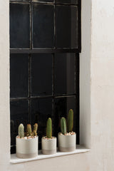 Downy Ceramic Pots By Accent Decor