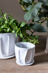 Draken Ceramic Pots By Accent Decor