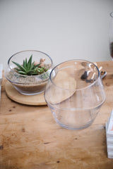 Dynamic Glass Terrarium By Accent Decor