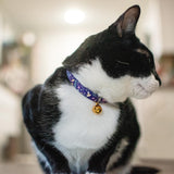 Safe Cat Fashion Adjustable Breakaway Cat Collar