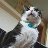 Safe Cat Adjustable Breakaway Cat Collar with Magnetic Buckle