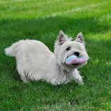 Li'l Pals Fleece Bone Dog Toy