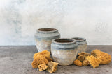 Earthy Ceramic Pot By Accent Decor