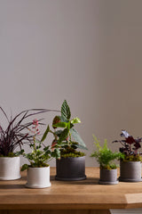 Easton Ceramic Pots By Accent Decor