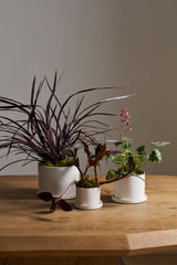 Easton Ceramic Pots By Accent Decor