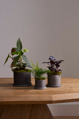 Easton Ceramic Pots By Accent Decor