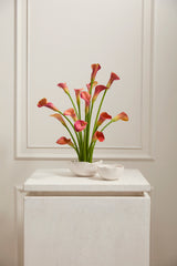 Easy Ceramic Bowls By Accent Decor