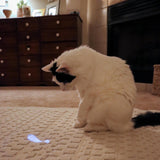 Turbo LED Pointer Cat Toy