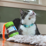 Safe Cat Adjustable Breakaway Cat Collar with Magnetic Buckle