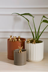 E+E Hugger Plastic Pots (Set of 6) By Accent Decor