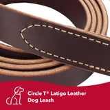 Circle T Latigo Leather Dog Leash, 6'