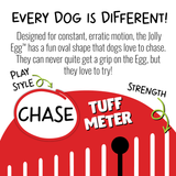 Jolly Egg Herding Ball for Dogs, 8"