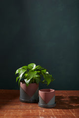 El Cerro Ceramic Pots By Accent Decor