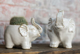 Elephant Ceramic Pot By Accent Decor