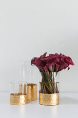 Elsa Cylinder Glass Vases By Accent Decor
