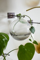 Envision Glass Wall-Mounted Decor By Accent Decor
