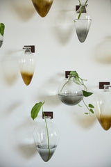 Envision Glass Wall-Mounted Decor By Accent Decor