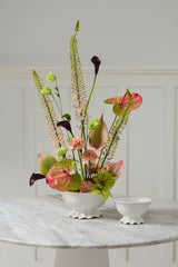 Esperanza Compotes By Accent Decor